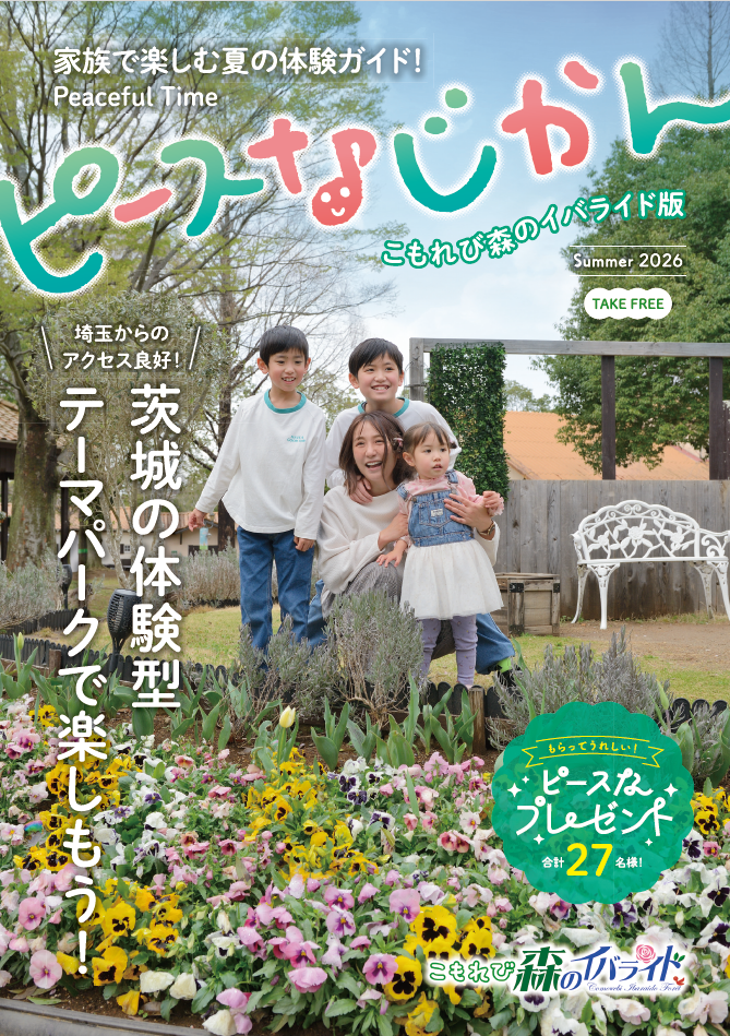 イバライド表紙